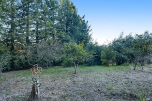 Single Family Residence,  Old King road, Petaluma, CA 94952 - 40