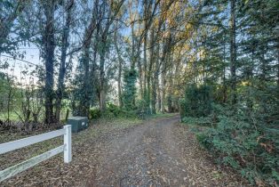 Single Family Residence,  Old King road, Petaluma, CA 94952 - 42
