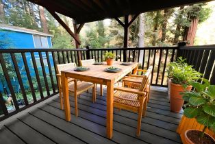 Single Family Residence,  Park avenue, Russian River, CA 95446 - 31