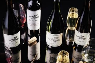 Single Family Residence,  Park avenue, Russian River, CA 95446 - 38