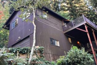 Single Family Residence,  Park avenue, Russian River, CA 95446 - 4