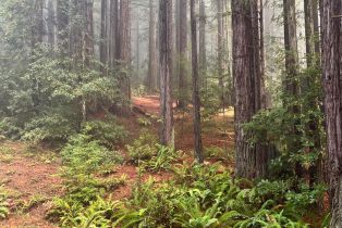 Single Family Residence,  Schooner drive, Sea Ranch, CA 95497 - 37