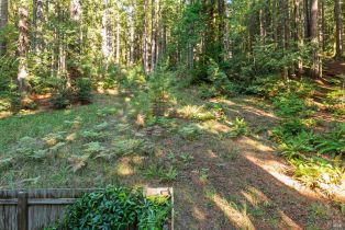 Single Family Residence,  Schooner drive, Sea Ranch, CA 95497 - 32