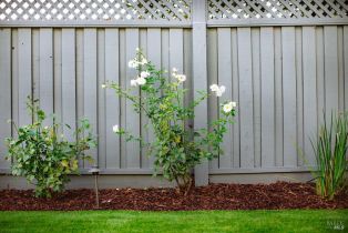 Single Family Residence,  Wine court, Petaluma, CA 94954 - 41