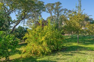 Single Family Residence,  Balverne lane, Windsor, CA 95492 - 56