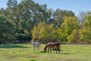 Single Family Residence,  Balverne lane, Windsor, CA 95492 - 63