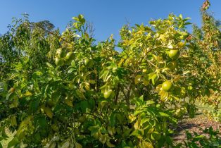 Single Family Residence,  Balverne lane, Windsor, CA 95492 - 55