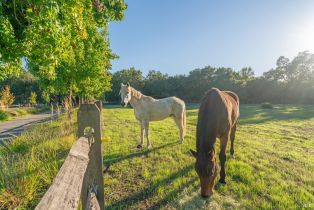 Single Family Residence,  Balverne lane, Windsor, CA 95492 - 5