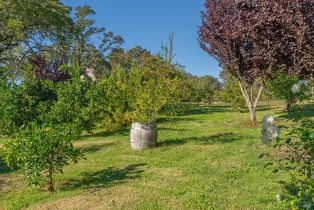 Single Family Residence,  Balverne lane, Windsor, CA 95492 - 54