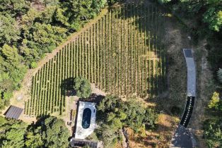 Single Family Residence, Wall road, Napa, CA 94558 - 76