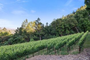 Single Family Residence, Wall road, Napa, CA 94558 - 75