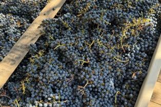 Single Family Residence, Wall road, Napa, CA 94558 - 90