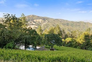 Single Family Residence, Wall road, Napa, CA 94558 - 74