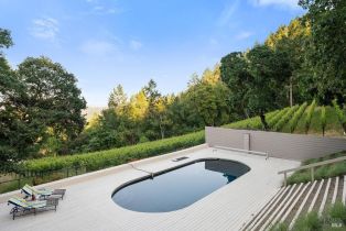 Single Family Residence, Wall road, Napa, CA 94558 - 77