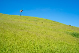 Single Family Residence,  Cambridge lane, Petaluma, CA 94952 - 45