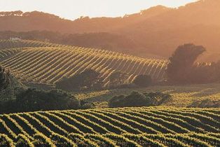 Single Family Residence,  Cambridge lane, Petaluma, CA 94952 - 59