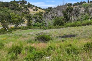 Residential Lot,  Graystone place, Santa Rosa, CA 95403 - 2