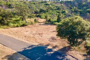 Residential Lot,  Silver Fox court, Santa Rosa, CA 95403 - 10