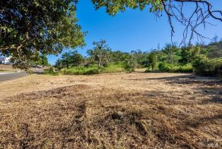 Residential Lot,  Silver Fox court, Santa Rosa, CA 95403 - 15