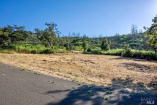 Residential Lot,  Silver Fox court, Santa Rosa, CA 95403 - 13