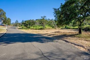 Residential Lot,  Silver Fox court, Santa Rosa, CA 95403 - 12