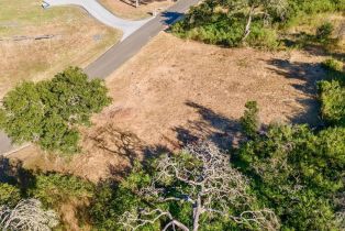 Residential Lot,  Silver Fox court, Santa Rosa, CA 95403 - 11