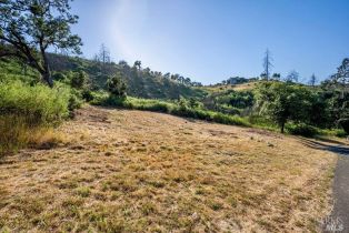 Residential Lot,  Silver Fox court, Santa Rosa, CA 95403 - 14