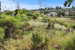 Residential Lot,  Bridlewood court, Santa Rosa, CA 95403 - 9