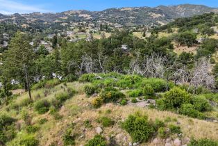 Residential Lot,  Bridlewood court, Santa Rosa, CA 95403 - 8