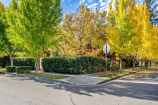 Single Family Residence,  Spring street, Santa Rosa, CA 95404 - 28