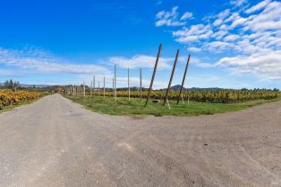 Agriculture,  Dry Creek road, Healdsburg, CA 95448 - 17