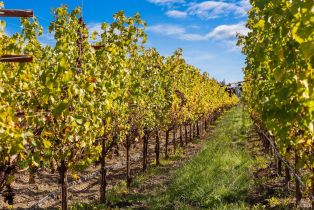 Agriculture,  Dry Creek road, Healdsburg, CA 95448 - 9