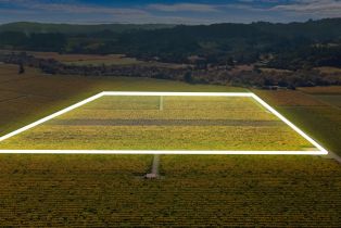 Agriculture,  Dry Creek road, Healdsburg, CA 95448 - 4