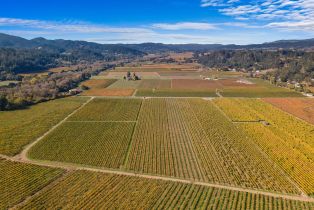 Agriculture,  Dry Creek road, Healdsburg, CA 95448 - 6
