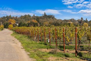 Agriculture,  Dry Creek road, Healdsburg, CA 95448 - 10