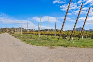 Agriculture,  Dry Creek road, Healdsburg, CA 95448 - 18