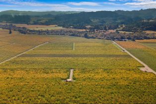 Agriculture,  Dry Creek road, Healdsburg, CA 95448 - 5