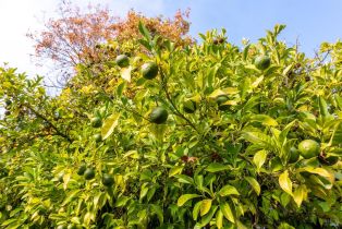 Single Family Residence, Borden Villa drive, Santa Rosa, CA 95401 - 24