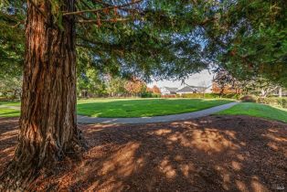 Single Family Residence,  Falcon Ridge drive, Petaluma, CA 94954 - 5