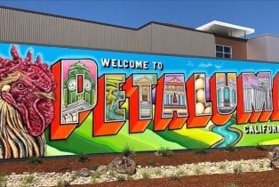 Single Family Residence,  Falcon Ridge drive, Petaluma, CA 94954 - 53