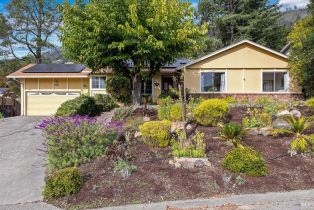 Single Family Residence,  Yerba Buena road, Santa Rosa, CA 95409 - 3
