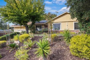 Single Family Residence,  Yerba Buena road, Santa Rosa, CA 95409 - 37
