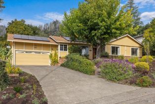 Single Family Residence,  Yerba Buena road, Santa Rosa, CA 95409 - 36