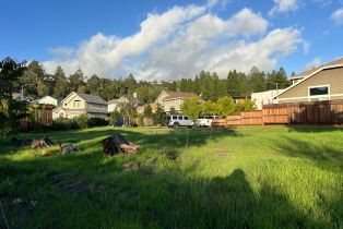 Residential Lot,  Vintage circle, Santa Rosa, CA 95404 - 4