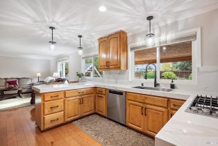 Single Family Residence,  Hill drive, Sebastopol, CA 95472 - 9