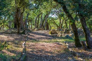 Single Family Residence,  Bennett Ridge road, Santa Rosa, CA 95404 - 47