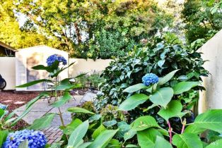 Condominium, Guadalupe drive, Sonoma, CA 95476 - 23