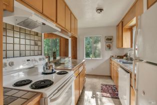 Single Family Residence,  Mill Creek road, Healdsburg, CA 95448 - 9