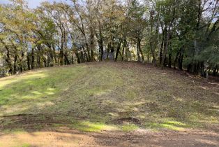 Single Family Residence,  Mill Creek road, Healdsburg, CA 95448 - 34