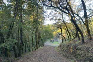 Single Family Residence,  Mill Creek road, Healdsburg, CA 95448 - 38